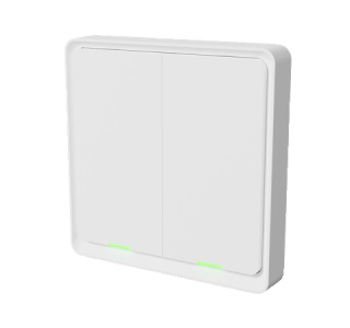 TESLA Smart Switch Dual ZigBee